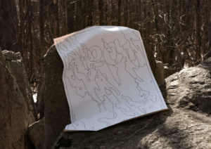 L'impuls de les arrels