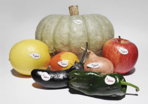 Llavors de terra nostra